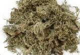 茵陈