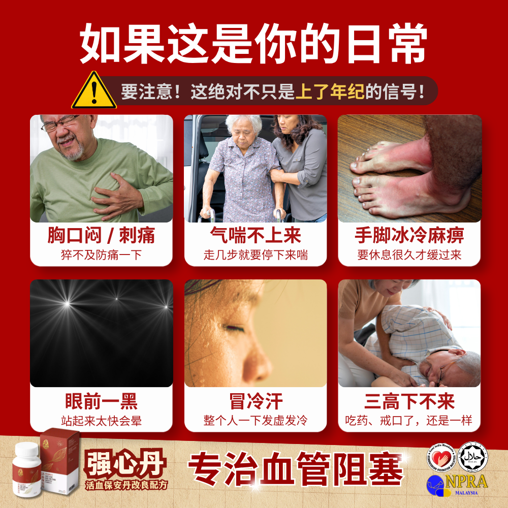 强心丹（活血保安丹改良配方)